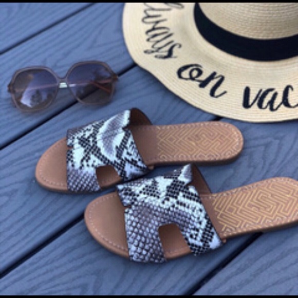 NAGINI Snake Print Flats! - Picture 4 of 5